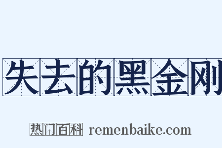 失去的黑金刚是什么意思的图片